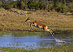 Botswana